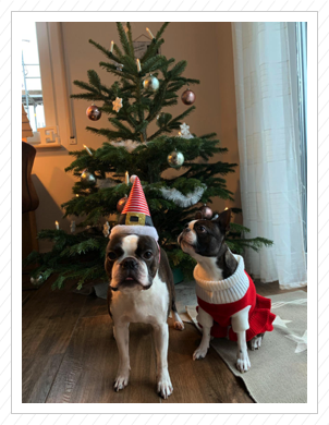 Lotte und Toni feiern zusammen Weihnachten 2018